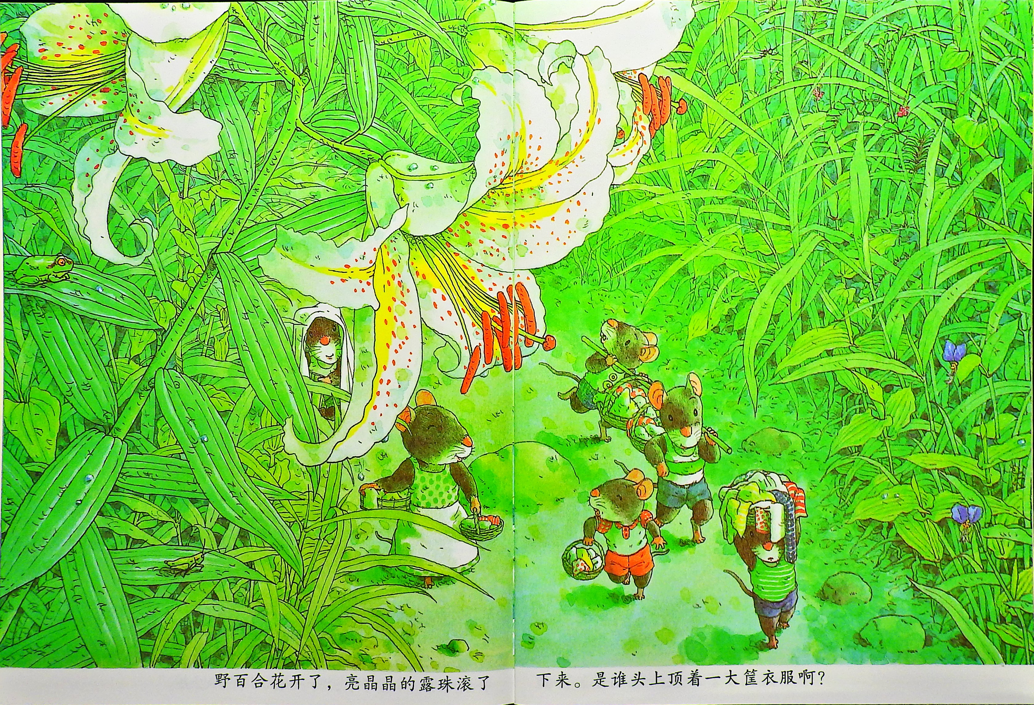 14只老鼠洗衣服 (06),绘本,绘本故事,绘本阅读,故事书,童书,图画书,课外阅读